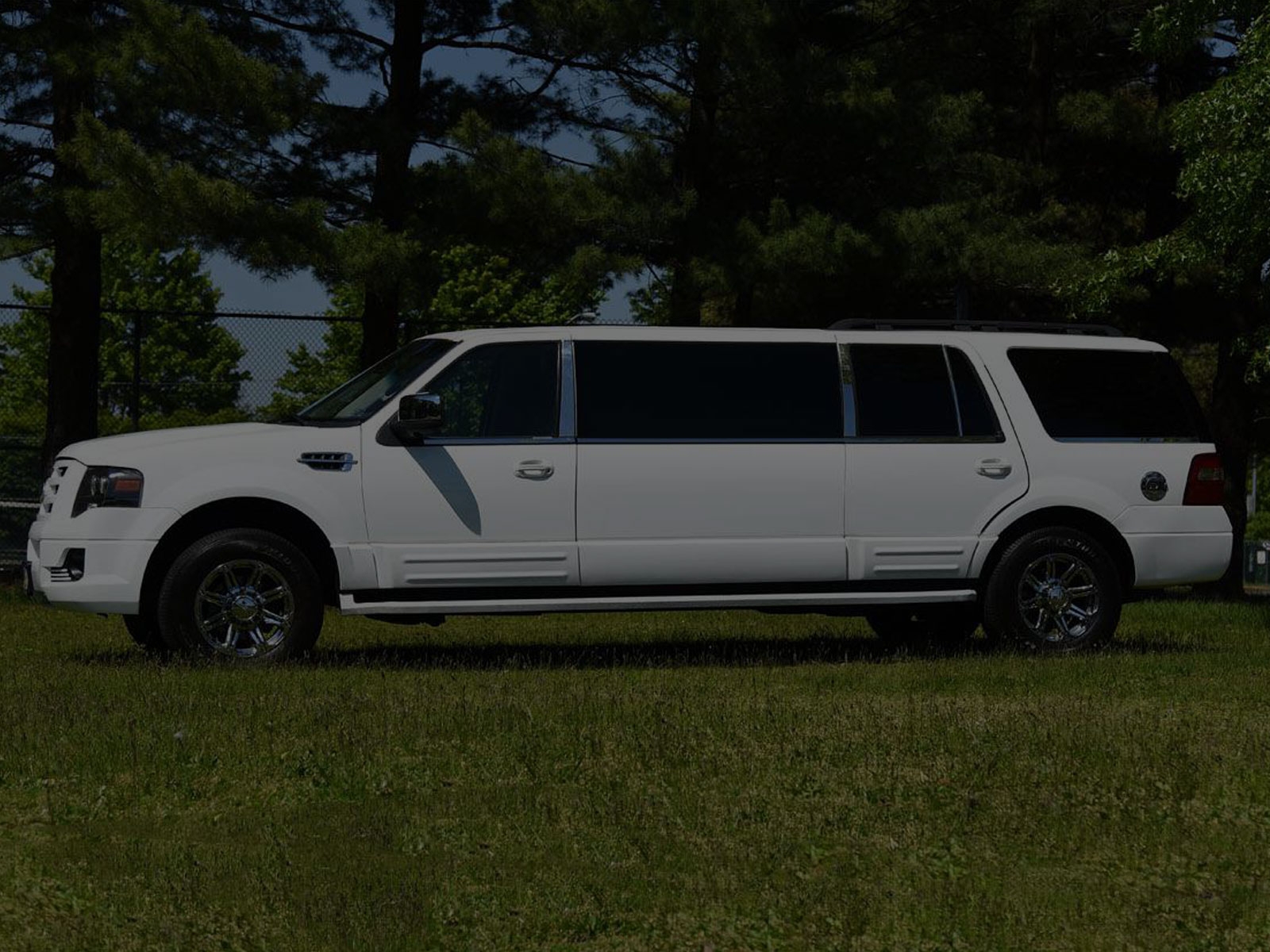 ford expedition limo rental